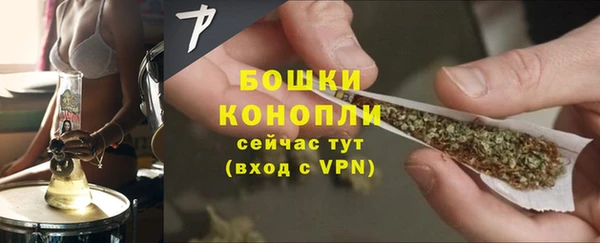 прущие крисы Новодвинск