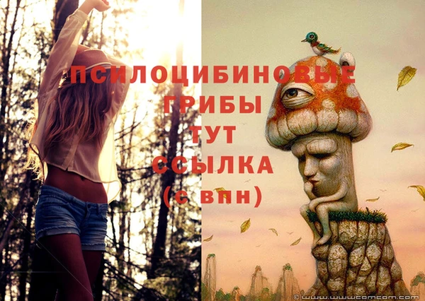герыч Новозыбков