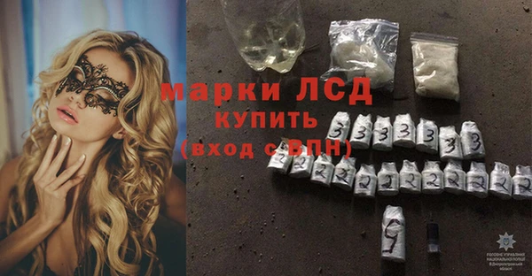 прущие крисы Новодвинск