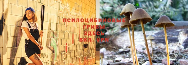 герыч Новозыбков