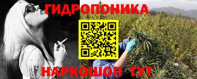 PSILOCYBIN Донской