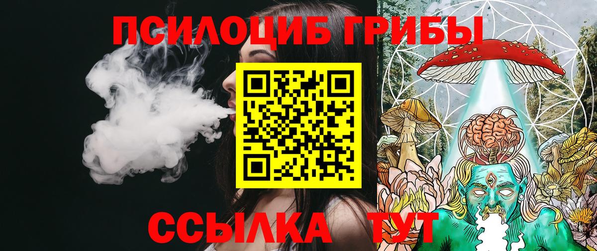 Галлюциногенные грибы Psilocybine cubensis Нурлат