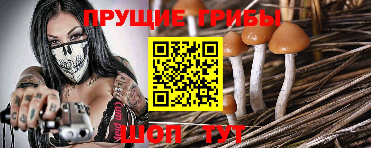 Псилоцибиновые грибы ЛСД  Вход с VPN  Нурлат 