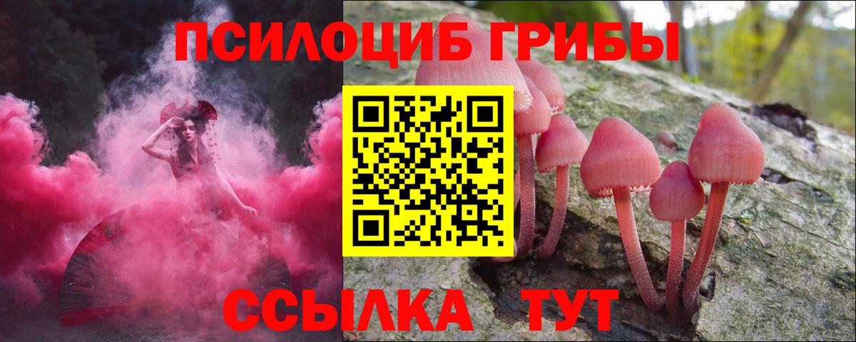 Галлюциногенные грибы Magic Shrooms Нурлат